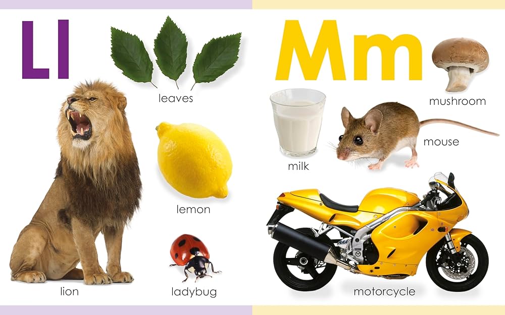 Amazon | My First ABC (My First Board Books) | DK